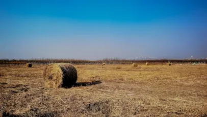 Казино Лъки Пантс Бинго Мобилно приложение